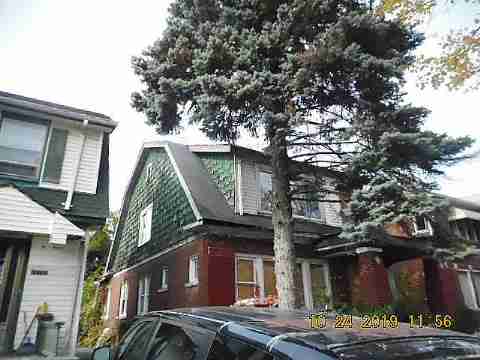 12773 Stoepel (2)_m.jpg